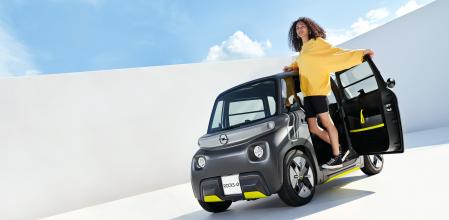 Descripción de la imagen