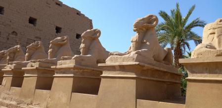 Perspectiva de la avenida de los carneros