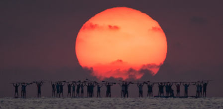 El Humanhedge de la costa de Alicante.