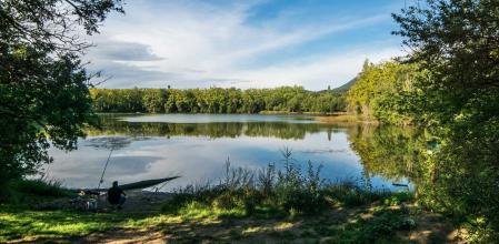 Otoño en los estanques de Graugés