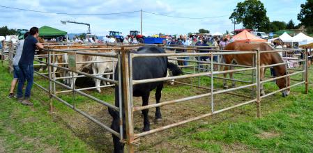 Feria del Hostal del Vilar.