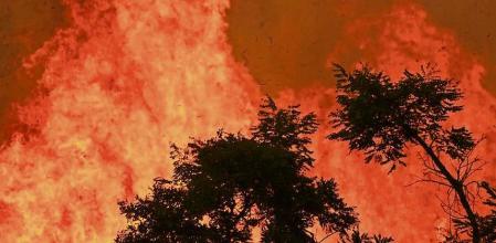 Fire consumes part of the Cerrado, on the Brazilian savanna, in an area near the center of Brasilia, Brazil, Tuesday, Sept. 21, 2021. According with the Fire Department, the city is 118 days without rain, which has caused simultaneous outbreaks of fires in several areas of the Cerrado in the country's capital. (AP Photo/Eraldo Peres)