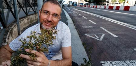 Eduardo Barba acaricia una hierba urbana, que crece en un espacio conquistado al asfalto en la calle madrileña de Alcalá