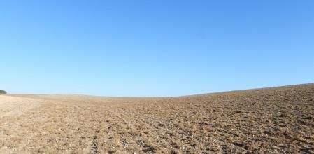 Paisaje de secano en torno al pueblo fantasma de Conill.