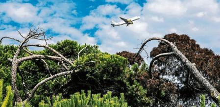 foto XAVIER CERVERA 09/07/2021 Ada Colau i Yolanda Díaz visiten la Ricarda convidades per l’alcalde del Prat Lluís Mijoler Dijous 9 de setembre, l’alcaldessa de Barcelona Ada Colau; la vicepresidenta segona del govern espanyol i ministra de Treball i Economia Social, Yolanda Díaz; i l’alcalde del Prat de Llobregat Lluís Mijoler, visiten l’espai protegit de la Ricarda. Durant la visita, el director del Centre de Recerca Ecològica i Aplicacions Forestals (CREAF), Joan Pino, exposarà el valor d’aquest espai natural inclòs a la Xarxa Natura 2000 europea. A les 10.00 hores (només per als mitjans gràfics): el punt de trobada serà El Centre Municipal de Vela. Des d’allà, s’accedirà acompanyat per personal municipal fins al Mirador de l’Illa, amb vistes a la Ricarda, on es podran fer fotos de Yolanda Díaz, Ada Colau i Lluís Mijoler. En aquest primer punt, no es faran declaracions. A les 11.00 hores (per a tots els mitjans): a la Casa Gomis. S’hi accedirà per la porta verda a la finca de la Ricarda que dona accés directe a la Casa Gomis, pel punt indicat en aquest enllaç. (por todo el conflicto politico economico social y medioambiental alrededor del espacio natural de la Ricarda q se veria gravemente afectado si se ampliara la tercera pista (lado noreste) del prat de llobregat, aeropuerto Barcelona)