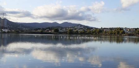 Los flamencos embellecen el embalse de las Salinas de Calpe.