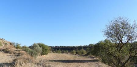 Reto visual: ¿Puedes ver dónde está la luna?