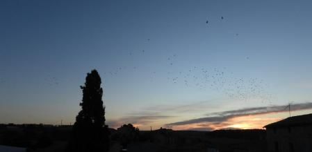 La salida del sol en Altet.