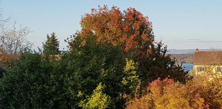 Otoño junto al Lago de Constanza.