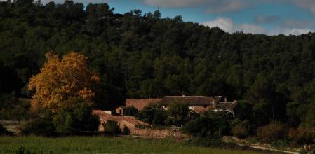 El paisaje de otoño en el Mas Roig de Begues.