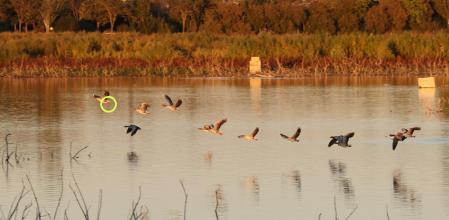 Hemos señalado en todas las imágenes la zona aproximada que se ha enfocado mediante el sistema de enfoque al ojo de la Canon EOS R3, pues no es posible captar imágenes de este punto.