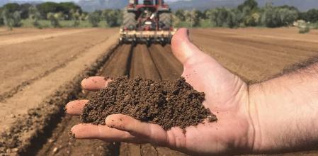 Tierra de un huerto agroecológico