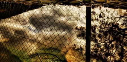 Reflejos de la DANA en el parque de los perros de Riudoms, en el Baix Camp (Tarragona).