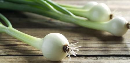 Cebolleta