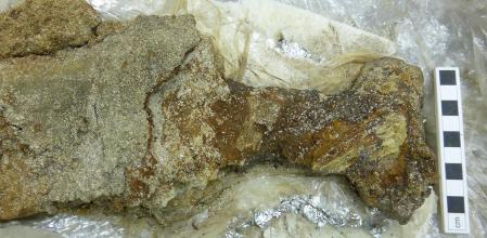 La espada vikinga es una Petersen tipo D y estaba muy deteriorada