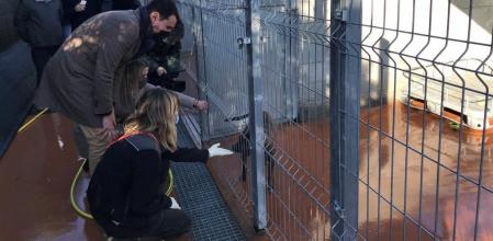 El alcalde de Badalona durante la visita al Centre d'Animals de Companyia