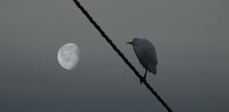 La luna menguante vista desde Mijas.