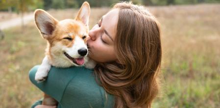 Mima a tu mascota con los mejores productos 'top ventas' del 2021 rebajados ahora en Amazon