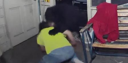 Las agónicas imágenes de un hombre luchando contra un oso para proteger a sus perros