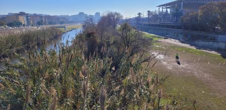 Zona de naturalización junto al cauce del río Besòs en Santa Coloma de Gramenet