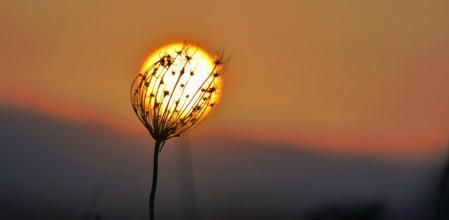 Atardecer con calima en Mijas.