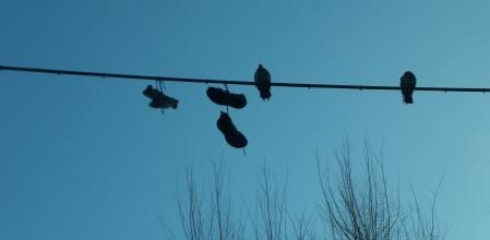 Bambas colgadas en el cableado eléctrico.