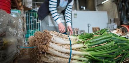 05022021 Reportatge sobre la segona temporada fallida de la calçotada. Foto a la cooperativa agrícola de Valls,