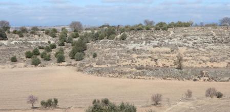 Reto visual: ¿Dónde está el conejo?