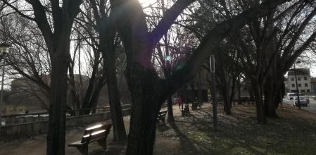 al Passeig del Ter de Manlleu