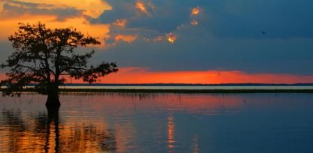 Puesta de sol en los Everglades