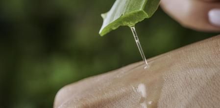 El aloe vera puede ser muy beneficioso