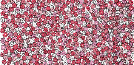 El reto viral de encontrar las cinco estrellas que ha enloquecido a las redes: “Es imposible”