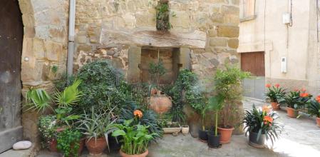 Reto visual: ¿Dónde están el ogro y la campanilla?