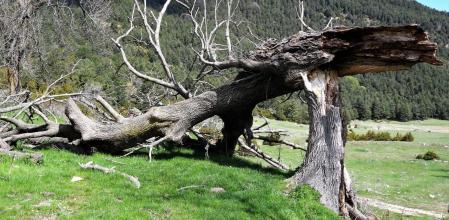 La travesía de montaña de Berga a Peguera.