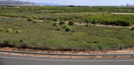 Terrenos en Sagunt donde surgirá una gigafactoría