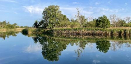 Paseo por la desembocadura del Fluvià.