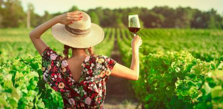 Vinos fresquitos para el Verano