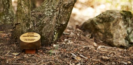 La sostenibilidad, al servicio del último adiós: funerales respetuosos con el medio ambiente