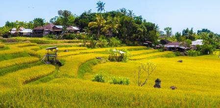 Contrastes
Bali regala aguas transparentes, y también parajes verdes como este, cerca de Singaraja
