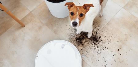 Robot aspirador para mascotas