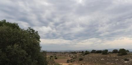 Reto visual: ¿Dónde está el águila?