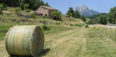 Paisaje del Berguedà con el Pedraforca al fondo.