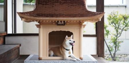 La casa para perros más exclusiva del mundo que está tallada a mano y supera los 142.000 euros