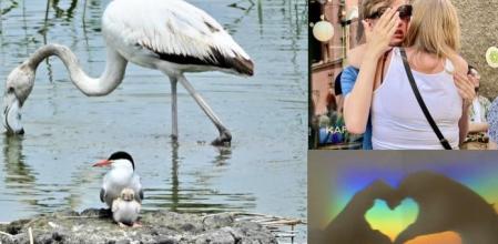 Las tres mejores imágenes del mes de junio en Las Fotos de los Lectores de Guyana Guardian.