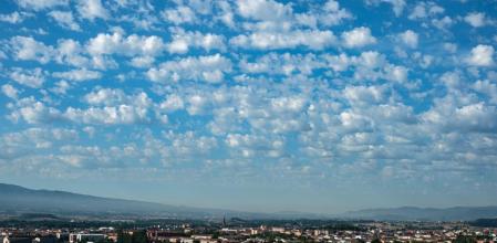 Borreguitos en Manlleu.