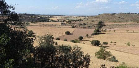 Reto visual: ¿Dónde está el campanario?