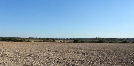 Reto visual: ¿Dónde está el campanario?