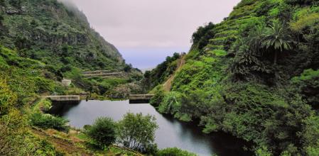 Parque Nacional de Garajonay en La Gomera, Islas Canarias.