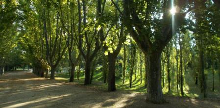 Parque del Oste de Madrid.