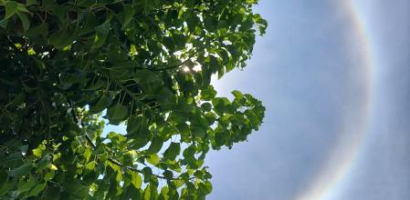 halo solar port ginesta